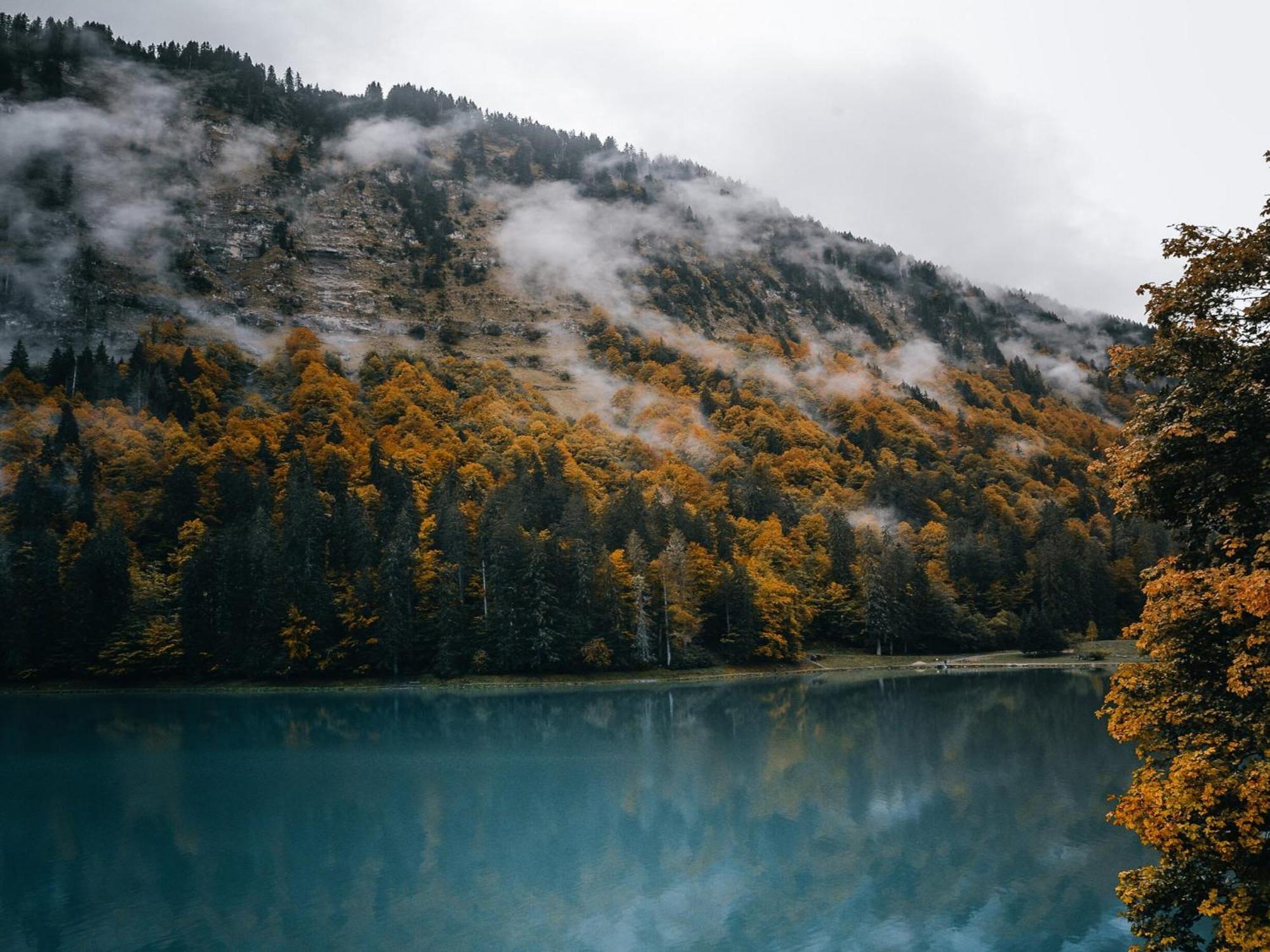 Chalet Genepi Монрьон Экстерьер фото